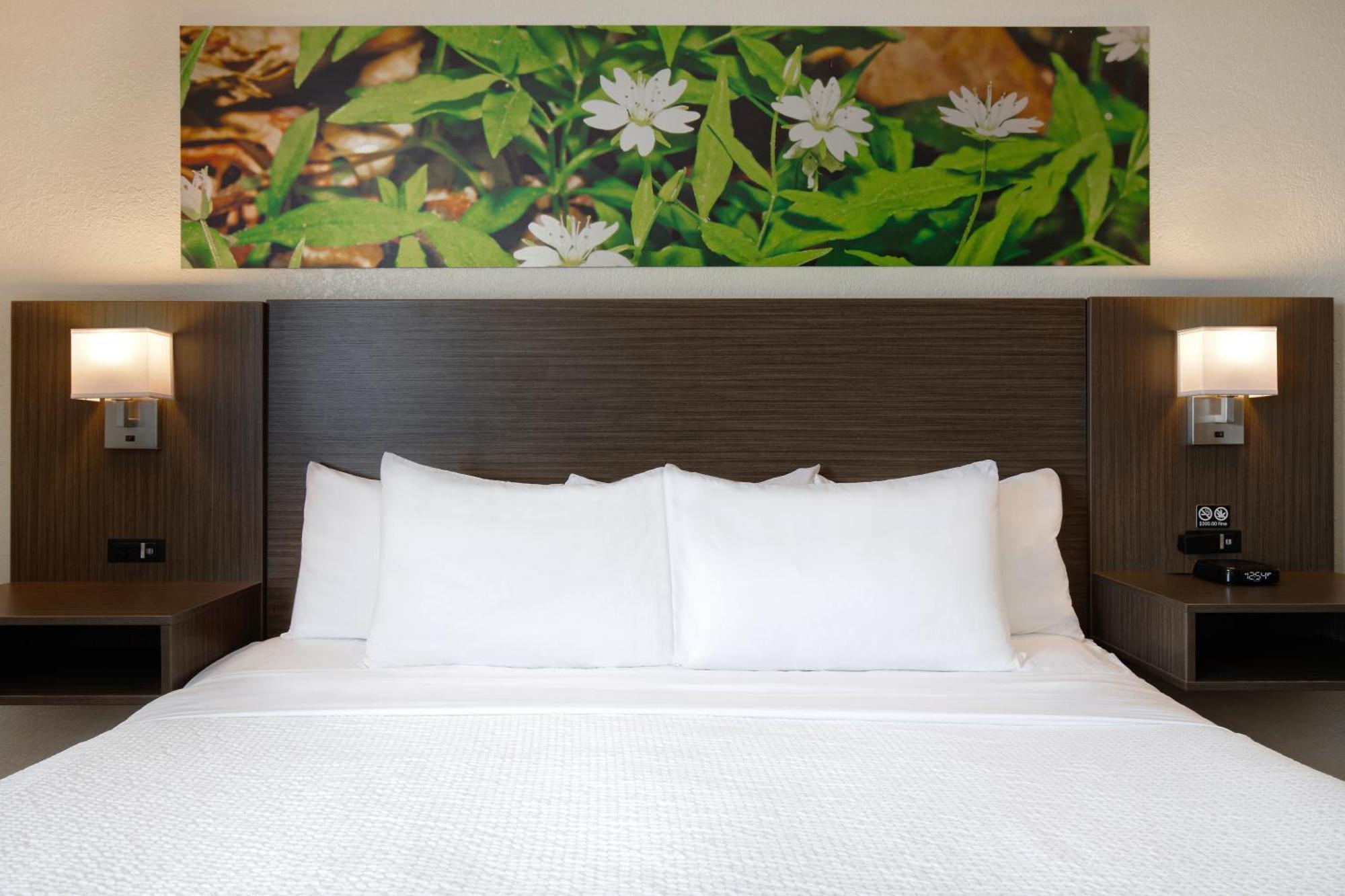Days Inn & Conference Centre By Wyndham Prince Albert Εξωτερικό φωτογραφία